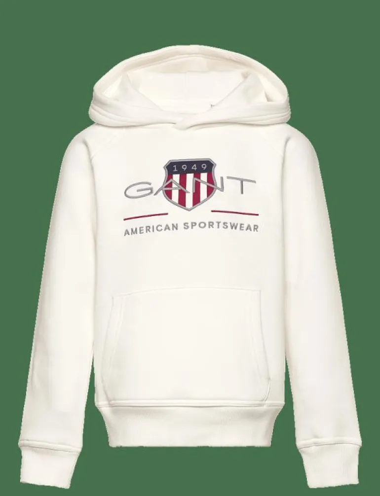 ARCHIVE SHIELD HOODIE - Huvtröjor