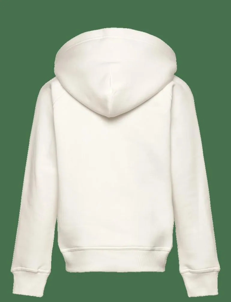 ARCHIVE SHIELD HOODIE - Huvtröjor