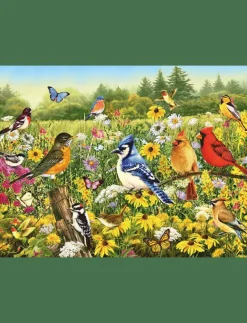 Birds in the Meadow 500p - Klassiska pussel