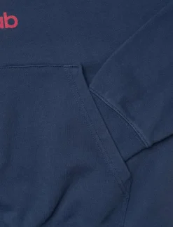 BORG CLASSIC PRINT HOODIE - Huvtröjor
