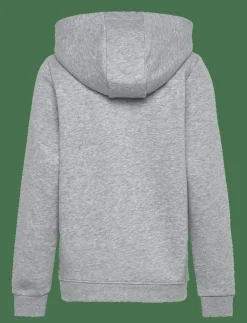 BORG ESSENTIAL 1 HOODIE - Huvtröjor