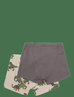 Boxers 2-Pack AOP - Underklädesset
