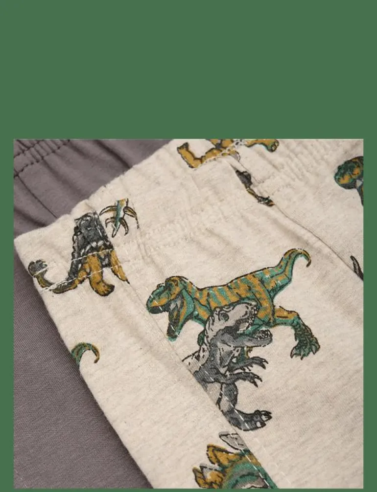 Boxers 2-Pack AOP - Underklädesset