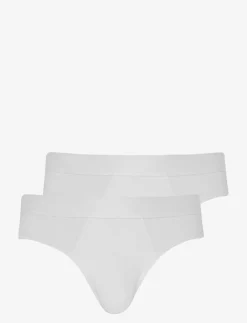 Brief 2-p - Briefs
