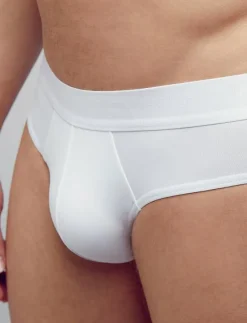 Brief 2-p - Briefs
