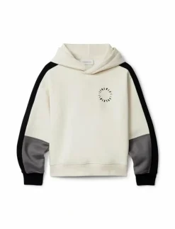 BRUSHED FLEECE CLR BLOCK HOODIE - Huvtröjor