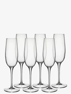 Champagneglas palace 23,5 cl 6 st klar - Champagneglas