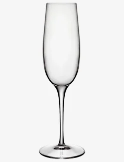 Champagneglas palace 23,5 cl 6 st klar - Champagneglas
