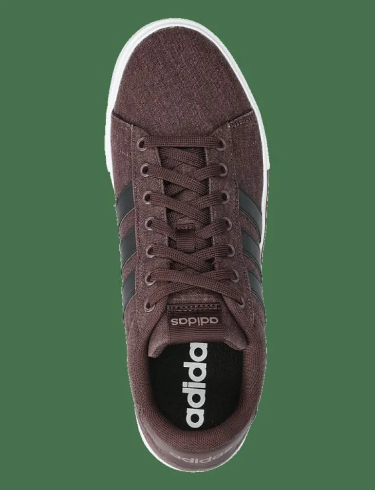 DAILY 4.0 - Låga sneakers