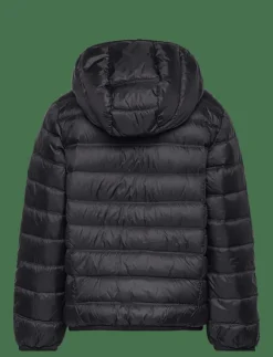 DOWN JACKET - Dunjackor & fodrade jackor