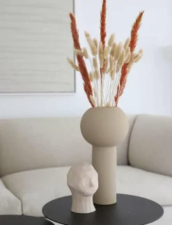 Dried Flowers Pampas Ginger - Torkade blommor