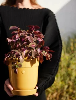 Elise Pot - Krukor