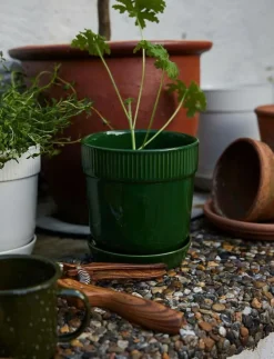 Elise Pot - Krukor
