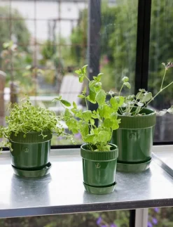 Elise Pot - Krukor