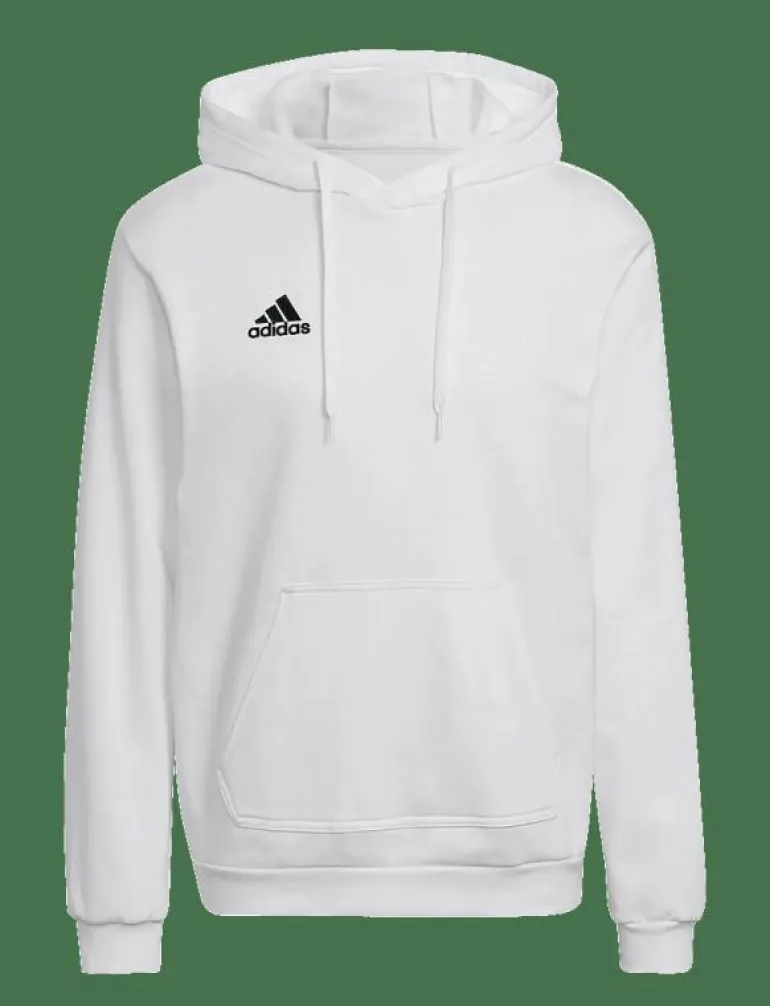 ENT22 HOODY - Huvtröjor