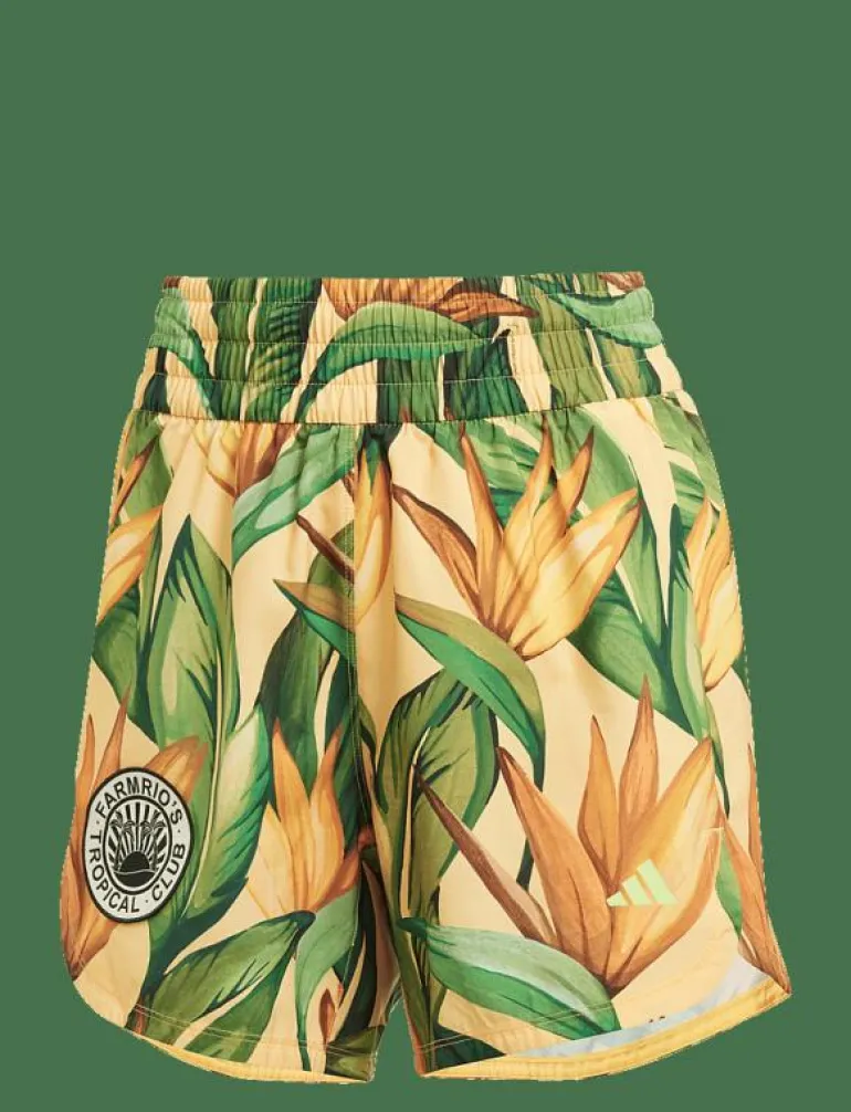FARM SHORTS - Träningsshorts