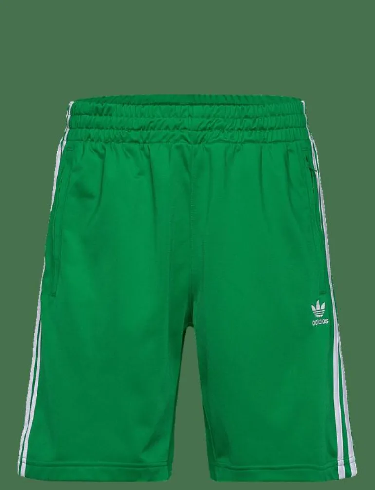 FIREBIRD SHORT - Träningsshorts