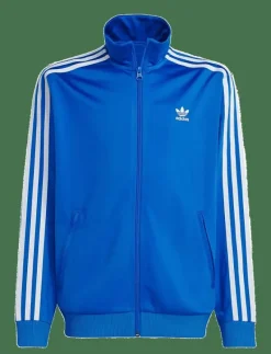 FIREBIRD TOP - Sweatshirts