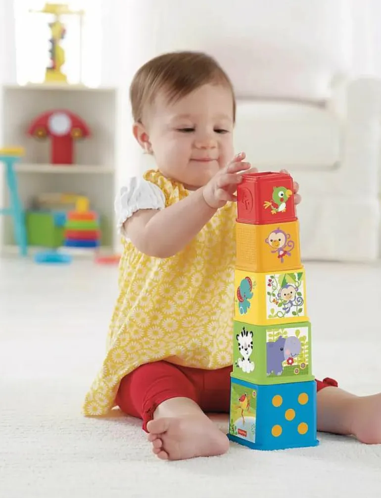Fisher-Price Stack & Explore Blocks - Stapelbara klossar
