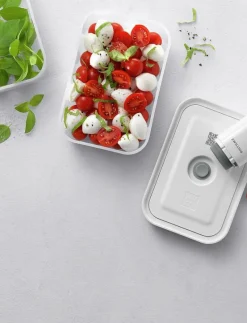 Fresh & Save, Vakuum box set S/M/L St-Gr plast - Vakuumpump