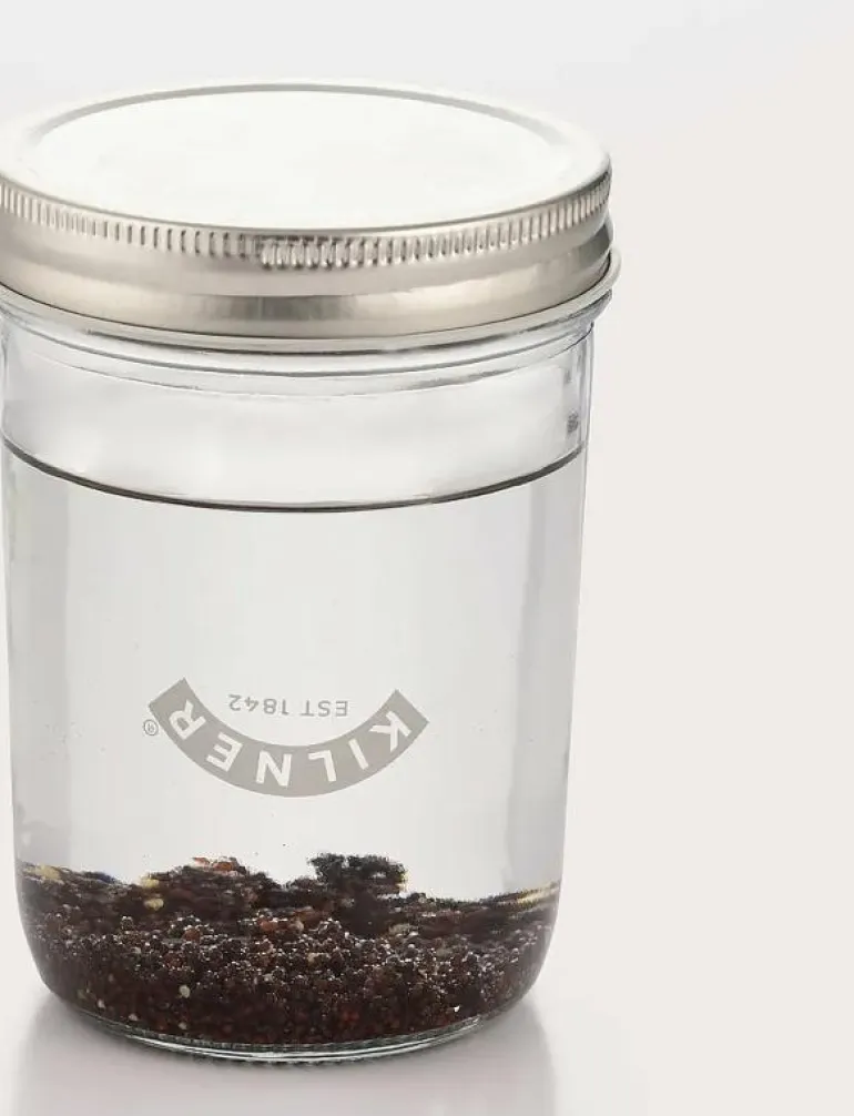 Frögrodd set Kilner® - Köksredskap