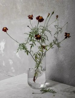 Glassvase - Tulpanvas