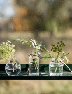 Glassvases 3-p - Vaser