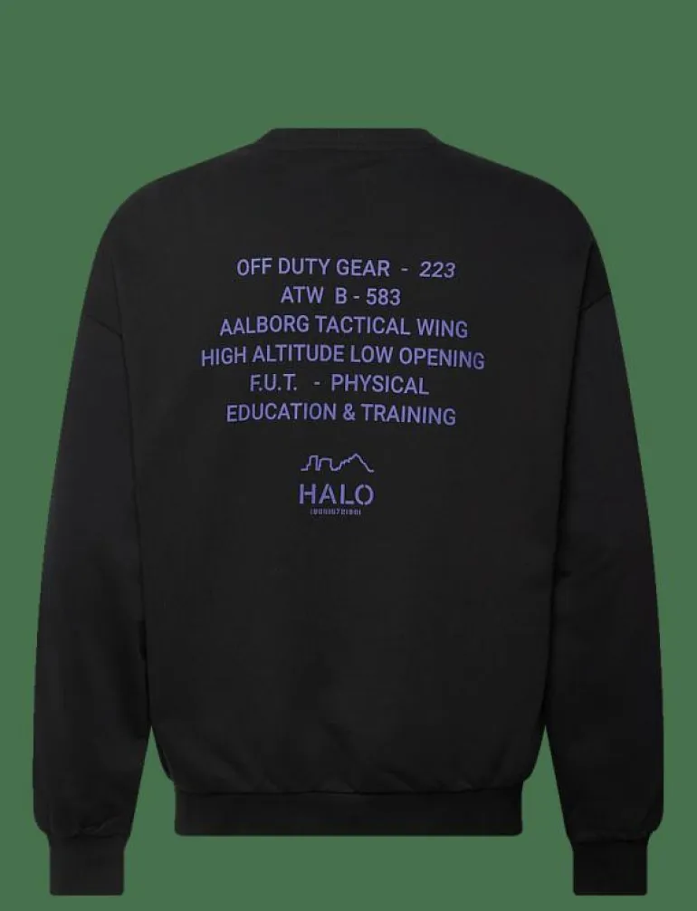 HALO GRAPHIC BOXY CREW - Sweatshirts