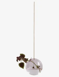 HANGING FLOWER BUBBLE - Vaser