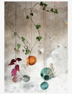 HANGING FLOWER BUBBLE - Vaser