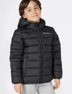 Hooded Jacket - Dunjackor & fodrade jackor