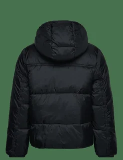 Hooded Jacket - Vinterjacka