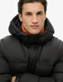 HOODED TECH PADDED JKT - Fodrade jackor
