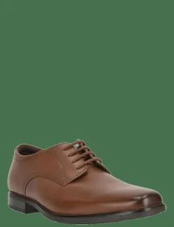 Howard Walk G - Derbyskor