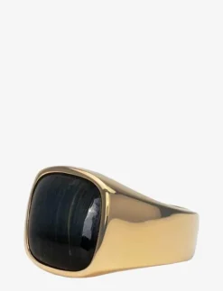 IX Cushion Signet Ring Hawks Eye - Ringar