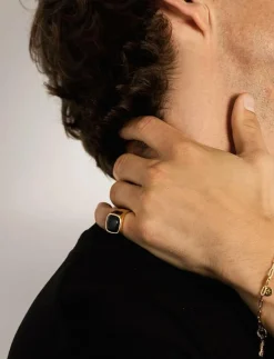IX Cushion Signet Ring Hawks Eye - Ringar