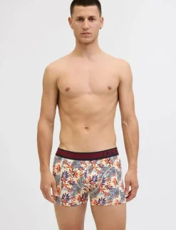 JACLANDON TRUNKS 10 PACK - Boxershorts