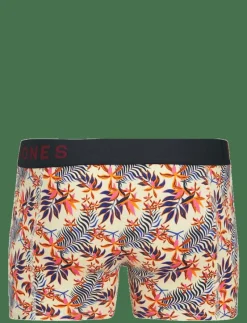 JACLANDON TRUNKS 10 PACK - Boxershorts