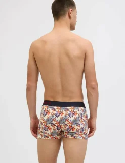 JACLANDON TRUNKS 10 PACK - Boxershorts