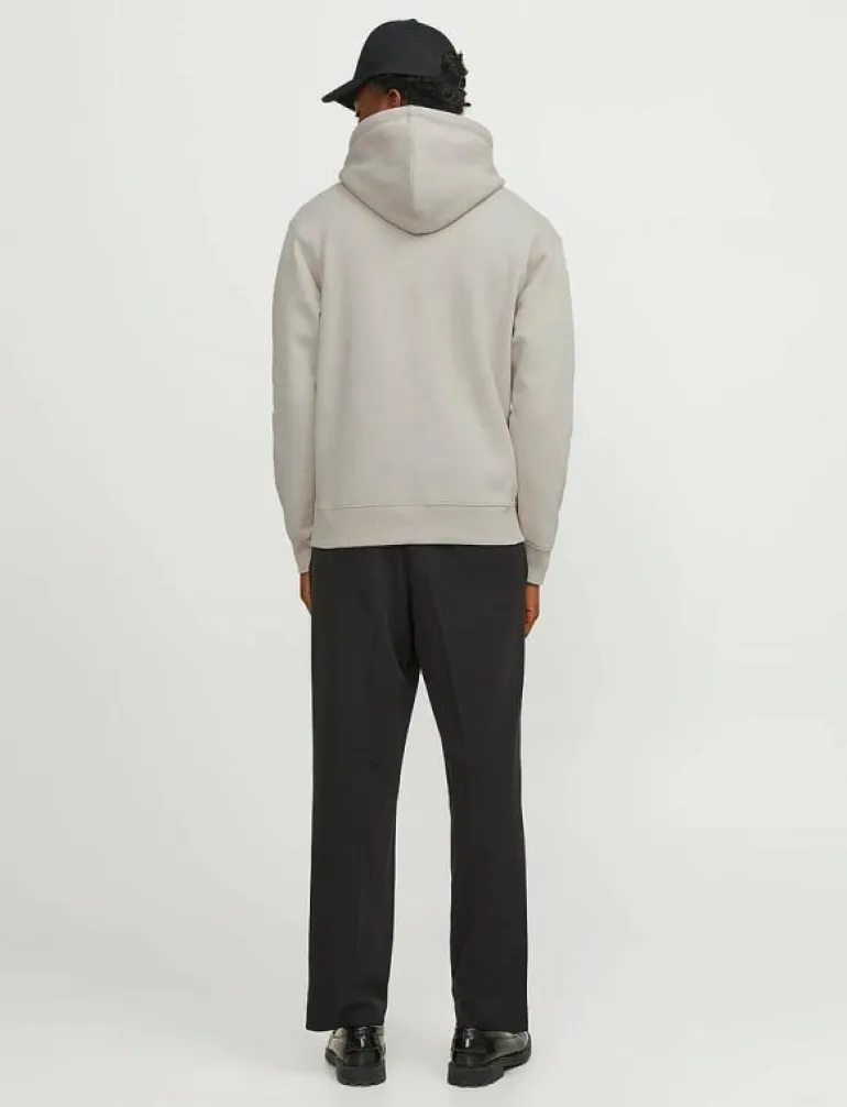 JJESTAR JJ SWEAT HOOD NOOS - Hoodies