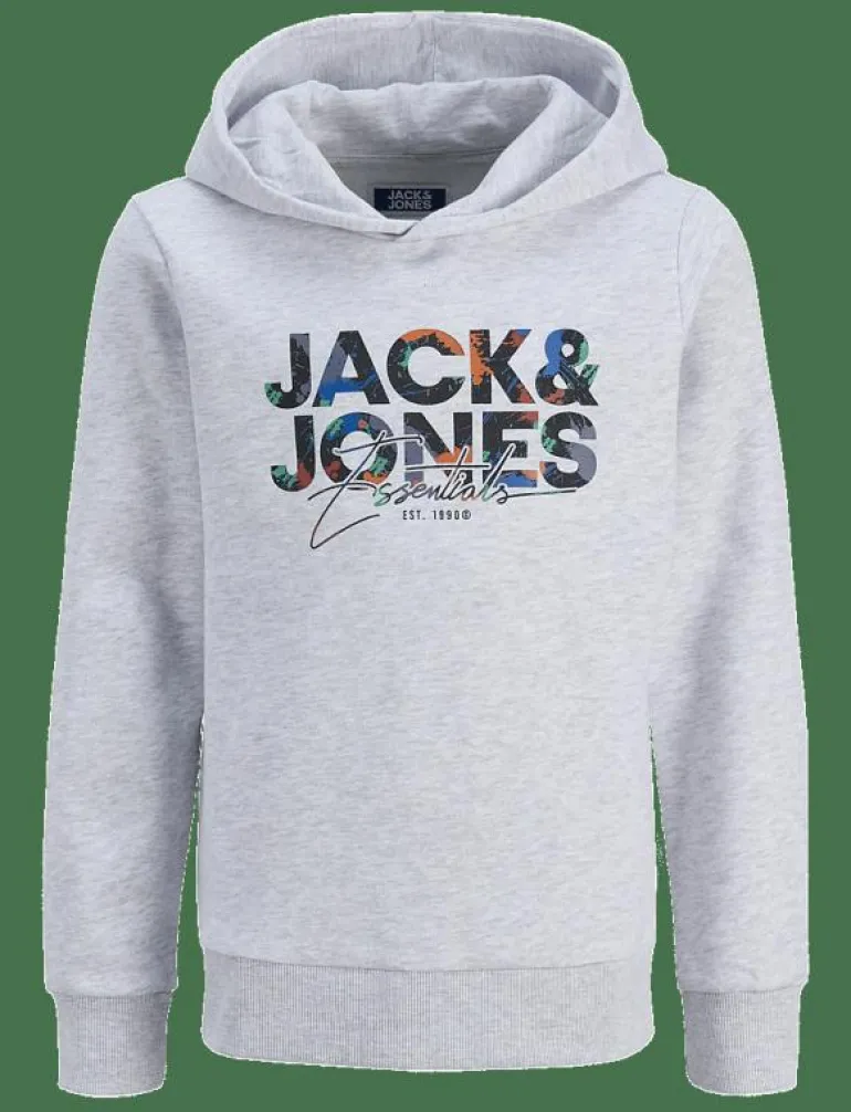 JJGEPLAS SWEAT HOOD MNI - Huvtröjor