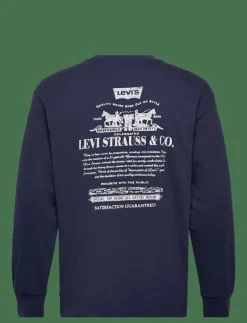 LS GRAPHIC AUTHENTIC TEE BADGE - Långärmade t-shirts