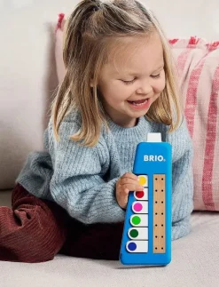 Musical Melodica - Musikinstrument