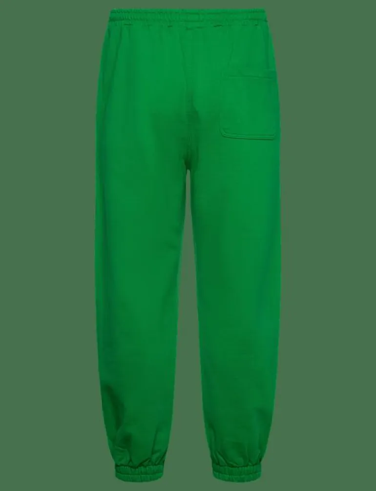 NB PRESIDENTS PANT GREEN BEE - Joggingbyxor