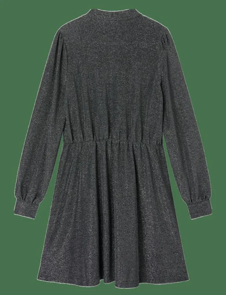 NLFRUINA LS DRESS - Långärmade vardagsklänningar