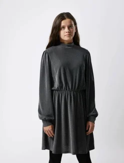 NLFRUINA LS DRESS - Långärmade vardagsklänningar