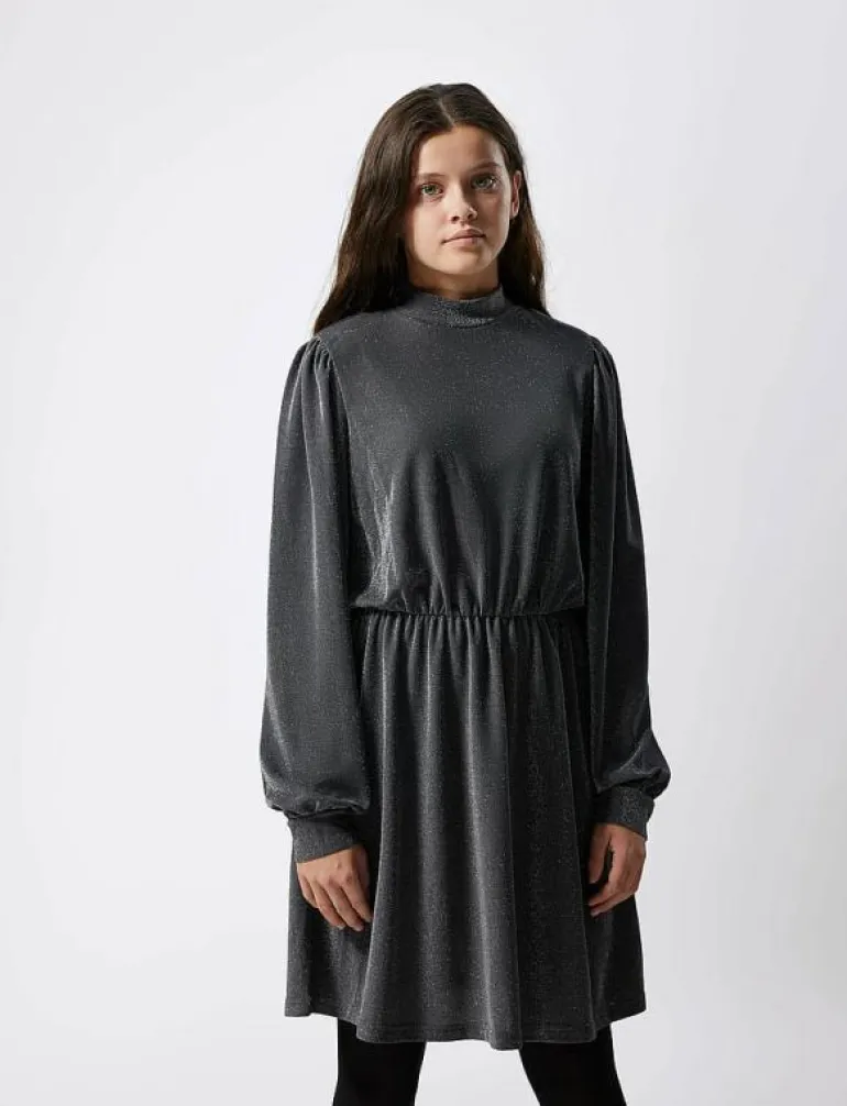 NLFRUINA LS DRESS - Långärmade vardagsklänningar