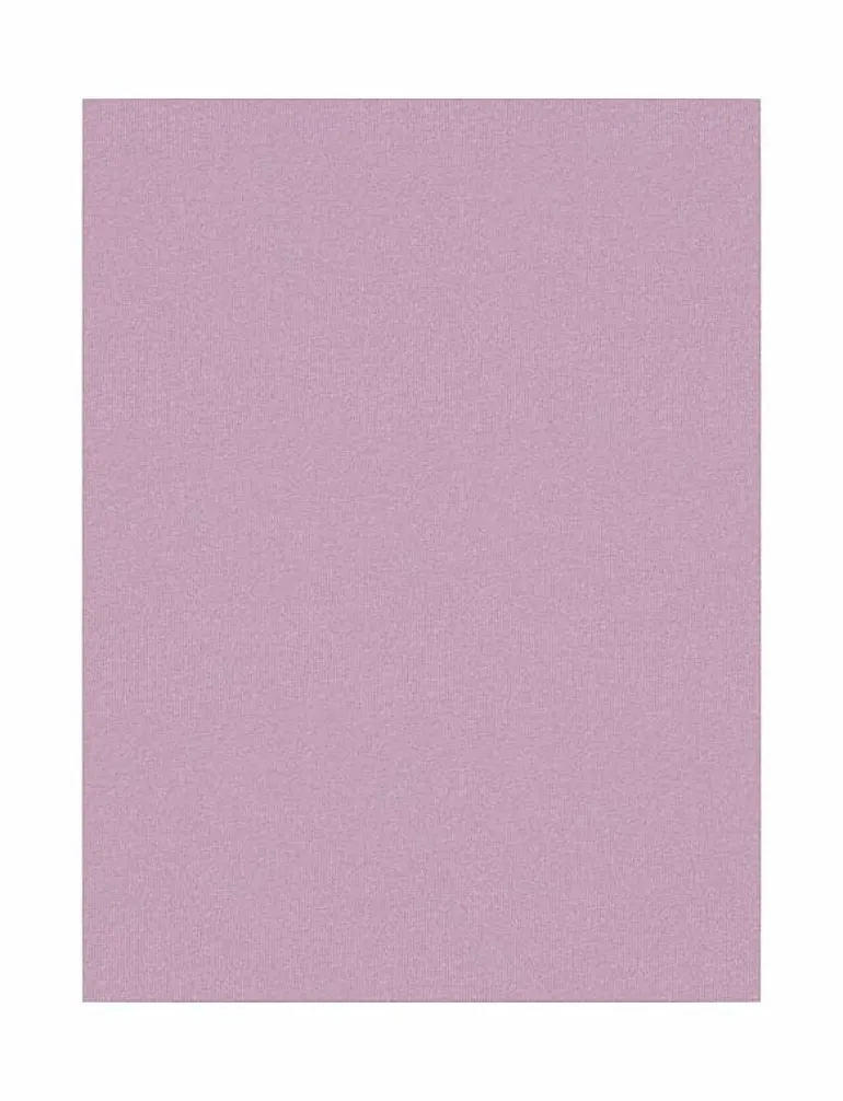 NMFTANK TOP 2P PASTEL LILAC HORSE NOOS - Överdelar