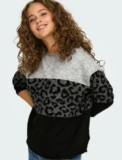 ONLJADE ANIMAL LS O-NECK NOOS KNT - Stickat