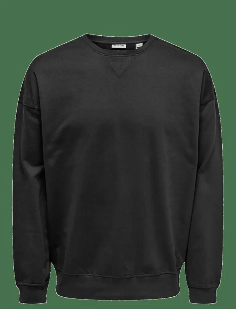 ONSEVANS VTG LS CREW TONAL BLOCK - Sweatshirts